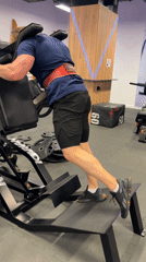 Evening workout session documented at Belgrade gym facility