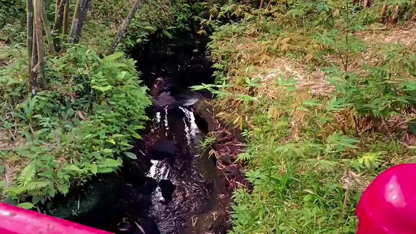 A narrow stream flows through a bamboo forest. The water is dark and reflects the surrounding foliage. Lush green ferns and other plants grow along the banks. Bamboo stalks of varying sizes create a dense canopy overhead, with some sunlight filtering through. The ground is covered in dry leaves and other organic debris. The camera appears to be mounted on a moving object, possibly a vehicle or drone, as indicated by the slight movement and perspective shift throughout the clip. In the lower right corner of the frame, a small section of a bright pink object is visible, which could be part of a backpack or clothing.