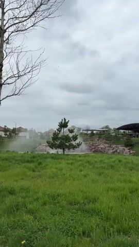 The video shows a grassy field with a single pine tree in the foreground, with a decorative waterfall feature, possibly in a park, in the background. The waterfall is constructed of rocks and has water flowing over it, creating a mist. Behind the waterfall, there are buildings with thatched roofs. The sky is overcast. A bare tree trunk is visible on the left side of the frame.