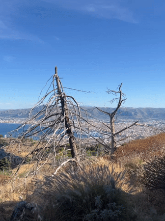 Hilltop views overlooking Palermo's Mediterranean coastline and beaches