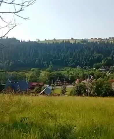 A wide shot captures a verdant, rural landscape under a clear sky. In the foreground, tall, golden-green grass sways gently. Beyond the grass, a cluster of houses with dark roofs and lighter walls are nestled amongst trees. Some houses have multiple stories and appear to be of a traditional architectural style, with some featuring what looks like yellow siding. The houses are situated on rolling hills. In the background, a dense forest of dark green coniferous trees covers a large hillside, with the tips of some trees reaching towards the sky. The horizon is dotted with more distant, rolling hills under a bright, pale blue sky. The overall impression is of a peaceful, sunlit countryside scene. The audio contains speech which indicates a concern about a fire.