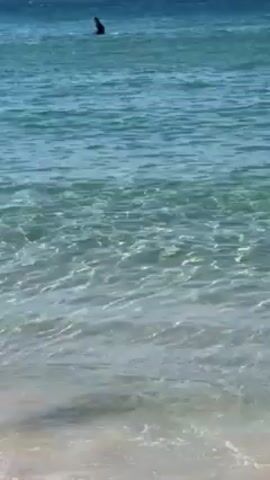 The video shows a view of the ocean from the shore. The water is clear and turquoise near the shore, becoming deeper blue further out. There are small waves near the beach. In the distance, a black silhouette of a person appears to be on a surf board or kayak. The sky is pale blue.