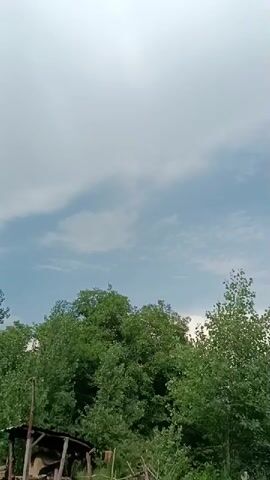 The video shows a cloudy sky with trees in the foreground. The sky is mostly white with some patches of blue and grey clouds. The trees are green and lush, with some of them appearing to be tall and thin, while others are bushy and full. The bottom of the frame shows some wooden structures and vegetation. The video pans across the sky and trees, giving a sense of the natural environment.