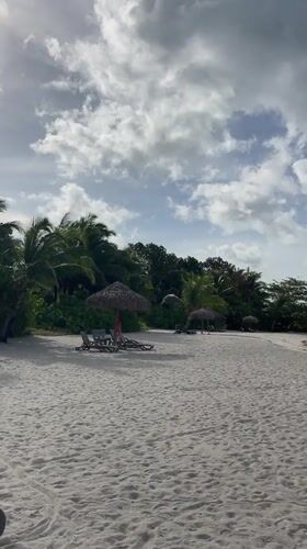 Quiet morning scenes across the Seychelles islands