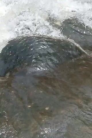 A close-up, shaky, first-person view of turbulent water flowing over rocks. The water is white and foamy at the top of the frame, indicating a faster current or a small waterfall. The rocks are dark and wet, with some appearing to be submerged. The lighting is bright, suggesting it is daytime.