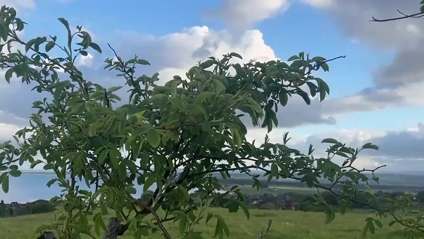 The video shows a view from a hillside in what appears to be a rural area. In the foreground is a green tree with small leaves. Beyond the tree, there is a view of a body of water, possibly a sea or a large lake, under a sky filled with clouds. The sky is a mix of blue and gray, with patches of sunlight breaking through the clouds. There is also a visible rainbow stretching across the sky near the horizon, and electric power lines are visible running over the water. In the distance, there is a small town or village nestled among the trees. The foreground is a grassy hill. The camera appears to be still.