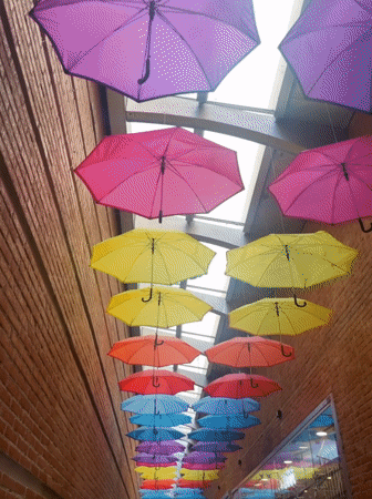 Colorful umbrella installation lines a brick walkway in Pampatar