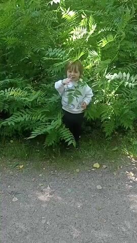 A toddler, wearing a white hoodie with a digger graphic and black pants, stands partially concealed by lush green foliage. The child turns their head to the side, then to the front, and appears to speak, with their mouth open. The background is filled with dense green ferns and leaves, suggesting an outdoor, possibly wooded or garden setting. The ground in the foreground is a mix of gravel and grass. The video is composed of short, brief clips.
