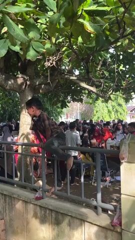 The video shows an outdoor scene with a group of people gathered behind a metal fence. A young boy in a plaid shirt is perched on the fence, facing away from the camera. Another younger boy in a blue shirt is climbing over a wall to the left, reaching towards the fence. He is surrounded by stacks of cardboard boxes. In the background, a crowd of people, many wearing headscarves, are visible. They appear to be queuing or observing something happening beyond the fence. Trees with large green leaves overhang the scene, providing shade. The overall impression is one of a gathering or event, possibly related to distribution of goods given the boxes.