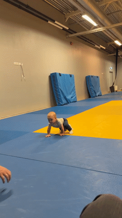 Little ones on the judo mat at a gym session