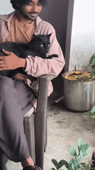 Rainy day in Haini with a green-eyed black cat