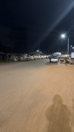 Man walks cattle through Bukuru streets at night