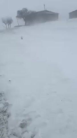 The video shows a snow-covered landscape on a very foggy day. There are a few trees and structures visible, but the heavy snow and fog make it difficult to see clearly. The camera pans to the left, revealing a few more objects partially covered in snow. The scene evokes a feeling of cold and desolation.