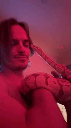 Close encounter with a coiled snake in New York