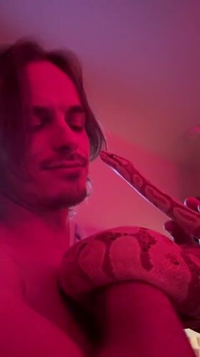 Close encounter with a coiled snake in New York