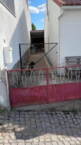 A black dog is visible behind a red metal gate, with a green mesh gate behind it. The dog appears to be standing in a driveway, which leads to a garage. The driveway is surrounded by buildings. The sky is blue with some clouds. The video is shot from a low angle, looking up at the gate and the dog. The red gate is rusted and appears to be old. The dog is facing away from the camera. The environment appears to be residential.
