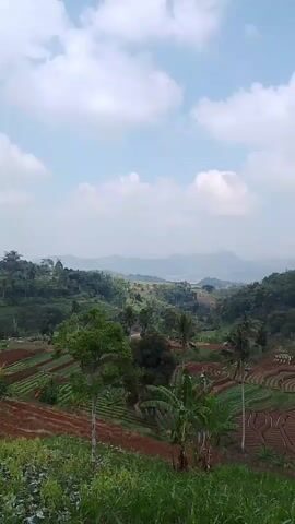 The video shows a wide shot of a lush green landscape under a partly cloudy sky. The terrain is hilly and covered with agricultural terraces. Various crops are visible, including rows of what appear to be vegetables and some banana trees. In the foreground, there is tall green grass and some smaller plants. In the midground and background, the hills are covered in a mix of trees and more agricultural fields. In the distance, more rolling hills and mountains can be seen, partially obscured by haze. The lighting suggests it is daytime, likely late morning or early afternoon. There are no people or animals visible in the footage. The camera pans slightly to the right, offering a panoramic view of the valley.