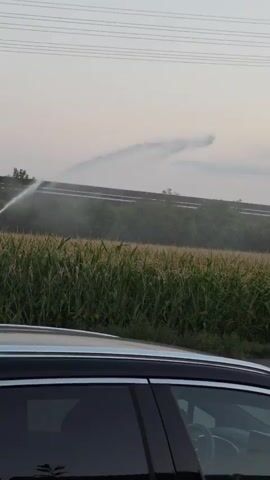 A car is parked in the foreground, partially obscuring the view of a cornfield. In the background, a large agricultural sprinkler is irrigating the field, spraying a wide arc of water against a hazy sky. Power lines are visible overhead.