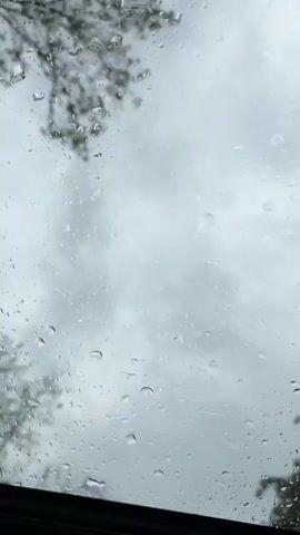 The video shows a close-up view through a wet window with raindrops on it. Outside the window, there are trees visible against a gray, overcast sky. There is music playing in the background.