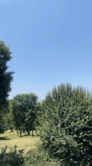 Witness captures video of trees, open field in Fatehpur