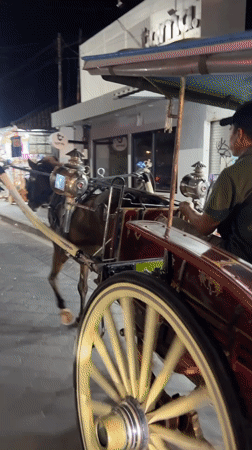 Horse-drawn carriage spotted on Kuta street in daylight