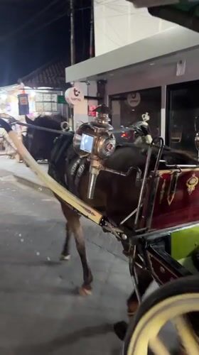 Horse-drawn carriage spotted on Kuta street in daylight