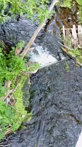 This is a vertically oriented, top-down video of a narrow, flowing stream in a natural setting. The water is dark and appears to be moving at a moderate pace, with some white foam indicating a slight drop or obstruction in the stream bed. Overhanging the water on the left side of the frame are lush green leafy branches of trees, suggesting a densely vegetated area. On the right side, a section of a rustic, wooden structure, possibly part of a small bridge or walkway, is visible. The water is surrounded by green foliage and appears to be an outdoor scene.

The lighting suggests it is daytime, with no harsh shadows indicating a bright, possibly overcast or diffused sunlight. The overall atmosphere is serene and natural, focusing on the movement and appearance of the water and its surrounding environment. There are no people or animals visible in the video. The focus is solely on the dynamic flow of the stream, the textures of the water and the vegetation, and the rough-hewn wooden structure. The context provided places this scene in Kirsanov, Russia.