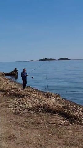 On a sunny day, an individual is fishing by a body of water. The person is wearing a blue jacket and dark pants. They are standing on a bank covered with dry reeds and dirt.  The person is holding a fishing rod and appears to be fishing.  The water is blue and calm, with a small island visible in the distance. There's a piece of driftwood on the shore to the left of the person.
