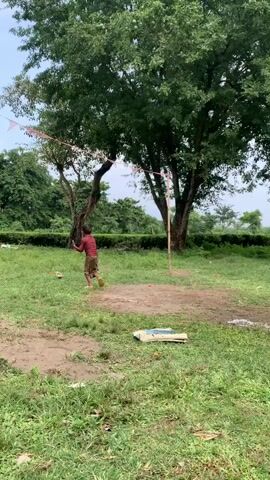 A young boy in a maroon shirt and brown pants walks with a cricket bat in his left hand across a grassy area. He is near a large tree and several smaller trees. There is a cow in the background. Another young boy in a black shirt and black shorts is playing in a puddle of muddy water. The first boy approaches the second boy. A third young boy, wearing a maroon shirt and plaid shorts, runs towards the other two boys. The second boy in the puddle appears to be playing with mud. The first boy, still holding his cricket bat, stops and watches the other two.