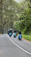 Motorcycle riders cruise tree-lined road in Kintamani, Indonesia
