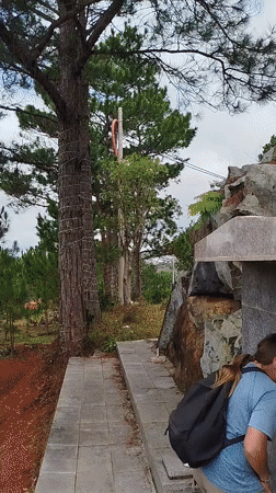 Shrine visit and neoclassical architecture in Vietnam's Lang Biang highlands