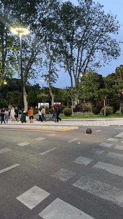 Regular traffic and pedestrians observed at Tbilisi intersection