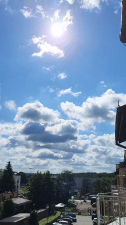 Sunny balcony views and a laid-back Scottish Fold cat at home.
