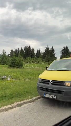 A yellow and orange van with a blue stripe is driving down a road. The van has an orange light on top. The van appears to be moving, as indicated by the motion blur in the image. The van is driving through a grassy, wooded area with a cloudy sky.