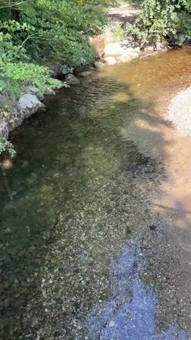 The video shows a shallow, clear stream with a rocky bottom. On the right side of the stream, there is a sandy bank with some sparse vegetation. The stream is surrounded by lush green trees. A person wearing a blue shirt and yellow shorts is walking on a path on the left bank of the stream, further up from the viewer's perspective. The sun is shining, casting dappled shadows on the water and the surrounding area.