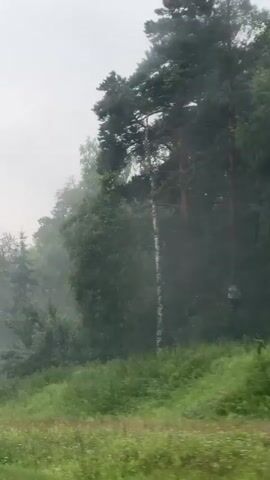 The video shows a road winding through a foggy forest. The fog is dense, obscuring the trees and the sky. The road is wet, suggesting it has recently rained. There are a few cars on the road, and the trees on either side are lush and green. The overall impression is one of a serene and tranquil natural landscape.