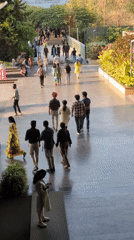 Morning scenes captured in Bengaluru: busy walkway, coffee break