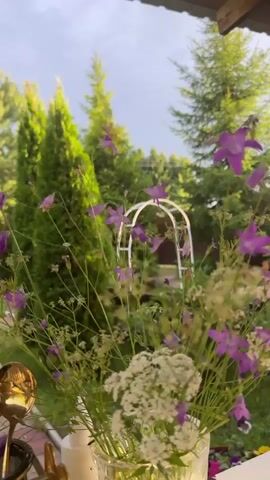 The video shows a close-up view of a bouquet of wildflowers, primarily purple bellflowers and white Queen Anne's lace, in a clear vase. The bouquet is placed on what appears to be a table or ledge, with a blurred background of a lush green garden. In the background, several evergreen trees are visible, along with a white arched garden structure, possibly an arbor. The sky is overcast, suggesting a cloudy or possibly rainy day. The lighting is soft and diffused. There are no people or animals visible in the video. The overall scene depicts a serene and natural outdoor setting.