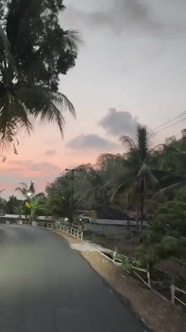 The video shows a view from a moving vehicle on a paved road that curves to the left. On the right side of the road, there is a white metal railing and a slope covered in dry vegetation and some debris. Further up the slope, there are houses with tin roofs and dense foliage, including palm trees. A utility pole with wires is visible. The sky is overcast with clouds, and the light suggests it is either sunrise or sunset, with hints of pink and orange in the sky. There are no people or animals clearly visible.