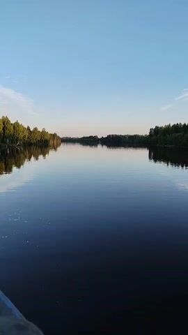 A vertical video captures a serene lake bordered by lush green trees under a clear blue sky. The calm water perfectly reflects the trees and the sky, creating a symmetrical and peaceful scene. The camera appears to be on a boat, as evidenced by the slight blur in the lower-left corner and the gentle movement of the water. The sun is low in the sky, suggesting either early morning or late afternoon, casting a soft light on the landscape. The overall impression is one of tranquility and natural beauty.