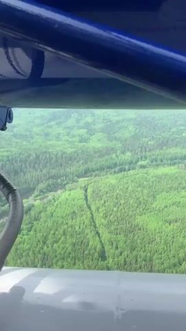 An aerial view from an aircraft shows a vast expanse of dense, green forest. A winding river is visible in the distance, snaking through the trees. A linear clearing or path cuts through the forest from the foreground toward the river. Parts of the aircraft's structure, including a blue overhead bar and a white window frame, are visible, framing the natural landscape. The scene suggests a clear, bright day over a wilderness area, consistent with the geographical context of Ust'-Koiva, Russia.