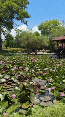 Traditional Vietnamese garden temple complex documented in Nha Trang