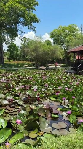 Traditional Vietnamese garden temple complex documented in Nha Trang