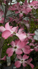 Spring craft fair and leisure activities documented in Burgas, Bulgaria