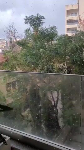 The video shows a rainy day seen from a balcony. Raindrops are visible on the glass of the balcony railing, obscuring the view of trees and buildings in the background. The camera pans to the right to show a potted plant with long red and purple leaves. The rain continues to fall heavily.