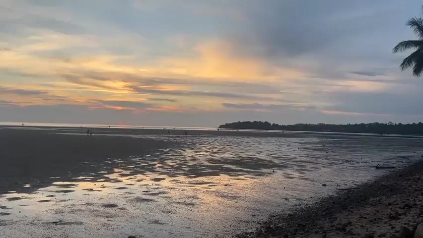 The video presents a static, eye-level shot of a beach at sunset. A wide expanse of wet sand dominates the foreground, reflecting the colors of the sky.  A cluster of people, appearing small and distant, are scattered along the water's edge in the midground. In the background, there is an island densely covered with trees and vegetation. A palm tree frond appears on the right edge of the frame. The sky is a mix of orange, yellow, and gray clouds, indicating the setting sun.  The overall impression is serene and scenic.