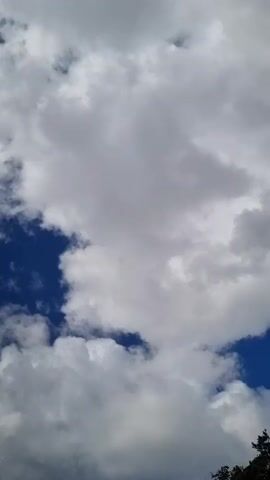 The video shows a vertical shot of a partly cloudy sky. Cumulus clouds are visible against a bright blue sky, with some parts of the sky being obscured by the white clouds. In the lower right corner of the frame, a portion of a tree with green foliage and some lighter green growth on its branches is visible. The lighting suggests it is daytime. There are no people or other objects in the frame.