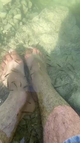 The video shows a pair of bare feet submerged in clear water. The feet are surrounded by small fish that are nibbling at them. The water is shallow, and the bottom is covered in pebbles and rocks. Sunlight is filtering through the water, creating dappled shadows on the feet and the bottom. There is a large rock in the background. The overall impression is one of a natural, aquatic environment.
