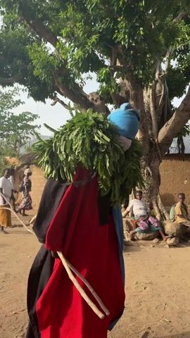 The video shows a person in an elaborate costume walking on a sandy ground surface. The person’s costume includes a large green leafy headdress, a blue cap, and a red and black robe. The person also carries sticks. The background shows a rural scene with several people, some buildings, and trees. One person is walking away from the camera in a red dress. The light is bright and the sky is visible. The camera follows the person in the costume.