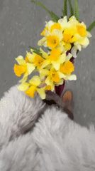 Woman documents fitness studio selfies, daffodils spotted on street